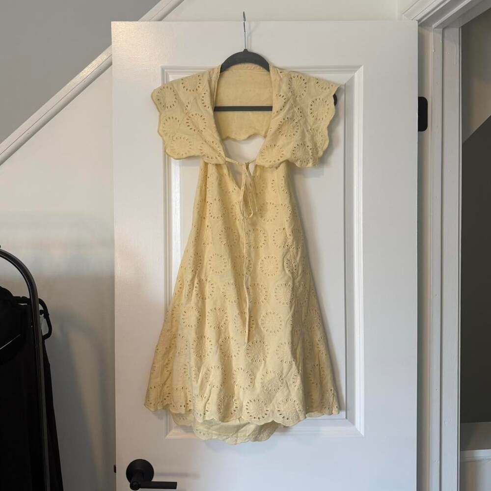 Free People Willow Eyelet Mini Dress